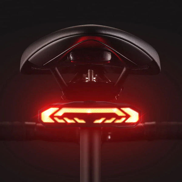 Smart Bike Tail Light